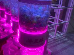 -青水瓦台汤泉(未央店)