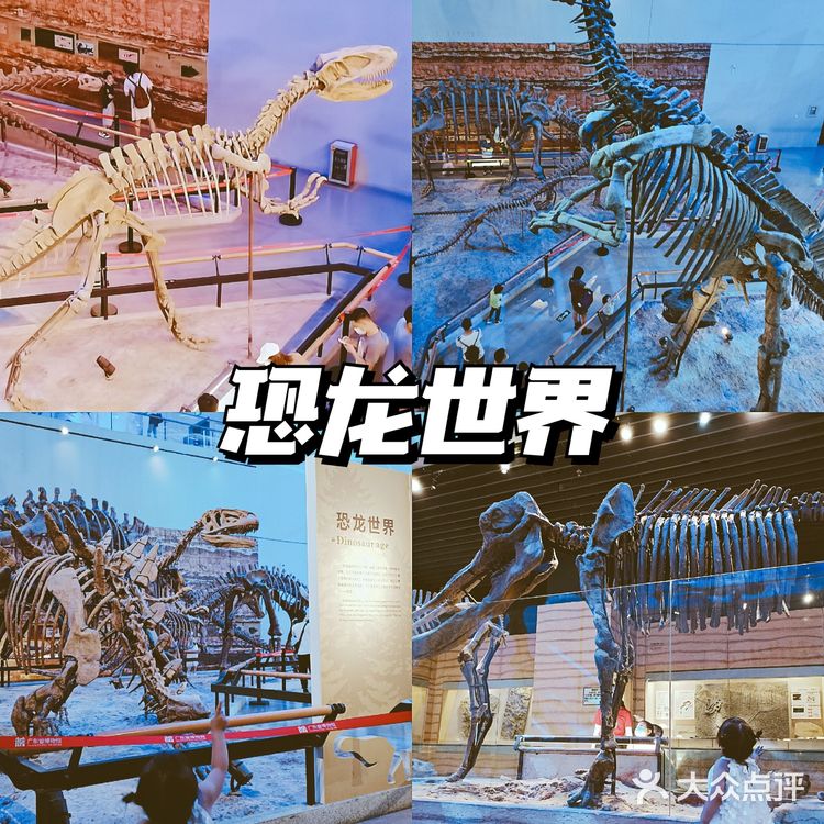 广州探馆|夏日遛娃好去处|免费带娃科普虾蟹知识  