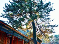 -承恩寺