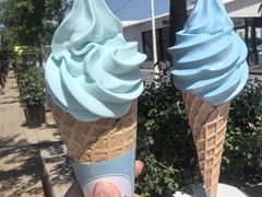 -秦皇岛新澳海底世界