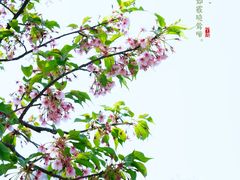 -上海辰山植物园