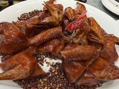 -朱记乳鸽王·非遗石岐乳鸽·全鸽宴(大兴旗舰店)