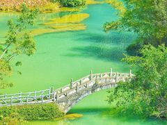 -靖西鹅泉风景区