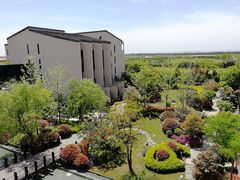 -上海崇明金茂凯悦酒店