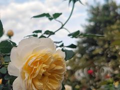 -人民公园(罗湖区)