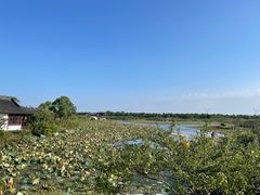 -上海海湾国家森林公园