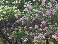 -玲珑塔公园