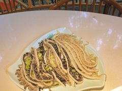 -二荆条·蜀鲜汇城市森林火锅