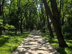 -玲珑塔公园