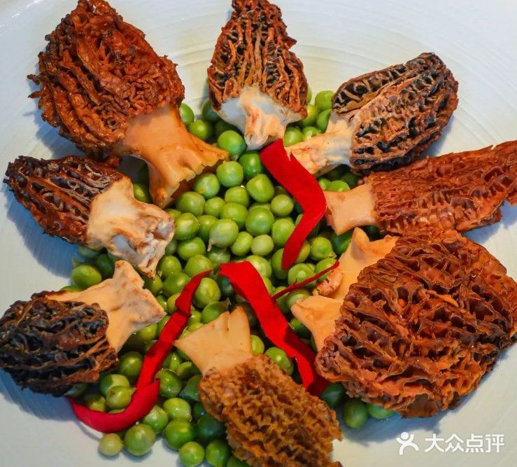 滋补好汤养身体