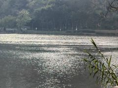 -重庆彩云湖湿地公园