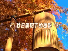 -梁鸿国家湿地公园