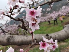 -青林口古镇