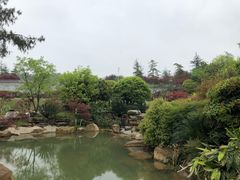 -铁山坪森林公园