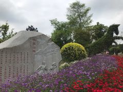 -铁山坪森林公园