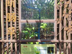 -广州神农草堂中医药博物馆