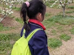 -金岛生态园烧烤露营地