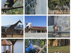 -杭州野生动物世界