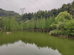 -广州市帽峰山景区