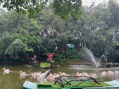 -广州长隆飞鸟乐园