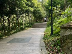 -八角饮楼(虹桥店)