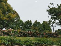 -潮府馆·非遗潮州菜·港式点心(世纪公园店)