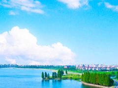 -上海共青森林公园