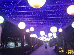 -白马涧龙池景区