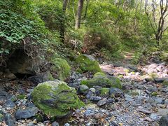 -云岫谷游猎自然风景区