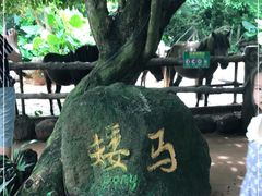 -海南热带野生动植物园