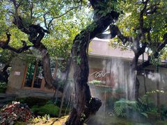 -Chom Cafe and Restaurant