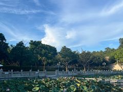 -顺峰山公园