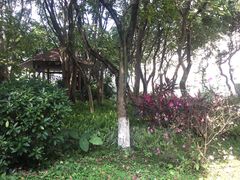 -黄埔荔枝公园