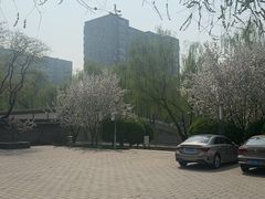 -元大都城垣遗址公园