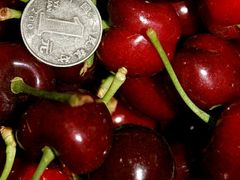 -大自然农场蔬菜草莓采摘园