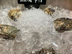 -Oyster Talks 四度蚝法餐厅