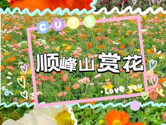 -顺峰山公园