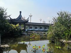 -梅园