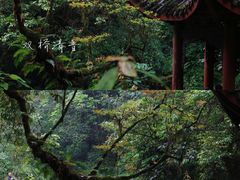 -峨眉山风景名胜区