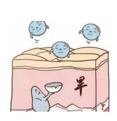 -木北造型