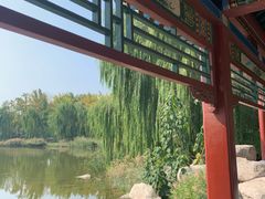 -晋祠公园
