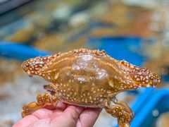 -盒马鲜生(皇庭广场店)