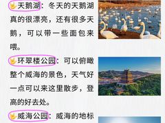 -幸福门
