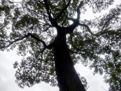 -北京上方山国家森林公园