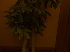 -太平洋PACIFIC SPA•奢睿水疗(万象城店)
