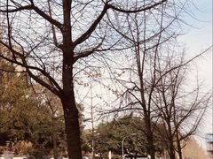 -四川大学(望江校区)