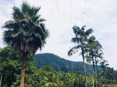 -重庆海昌加勒比海水世界