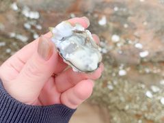 -瑜上·山食小馆