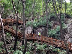 -大岭沟猕猴桃谷风景区