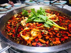 -蛙一刀·麻椒鱼火锅(金仙桥店)